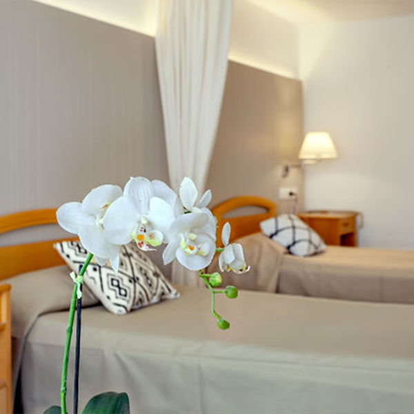 flores en habitación