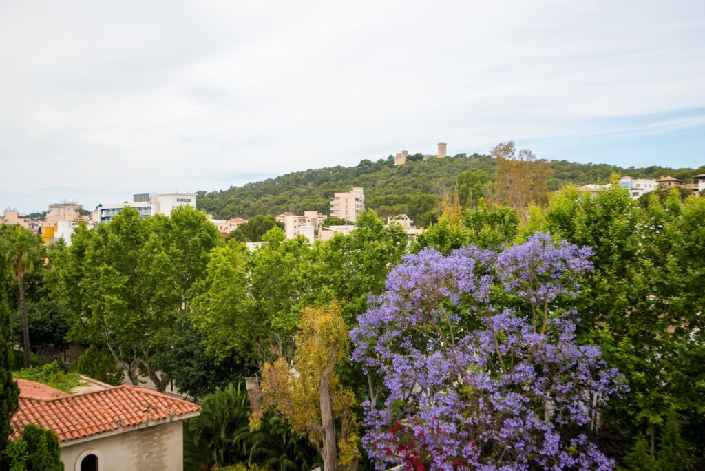 jardines y Castillo de Bellver