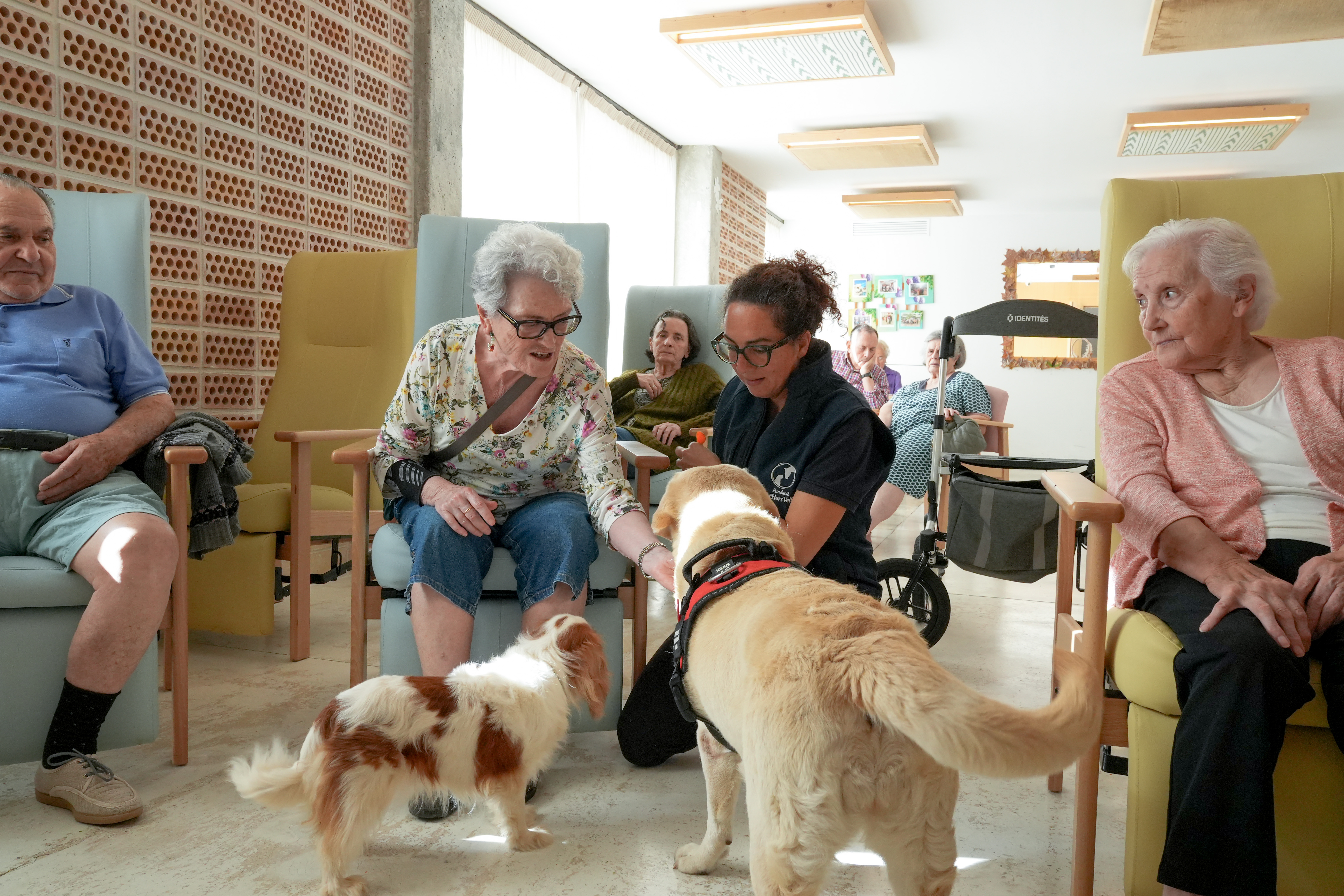 Persona mayor con perros