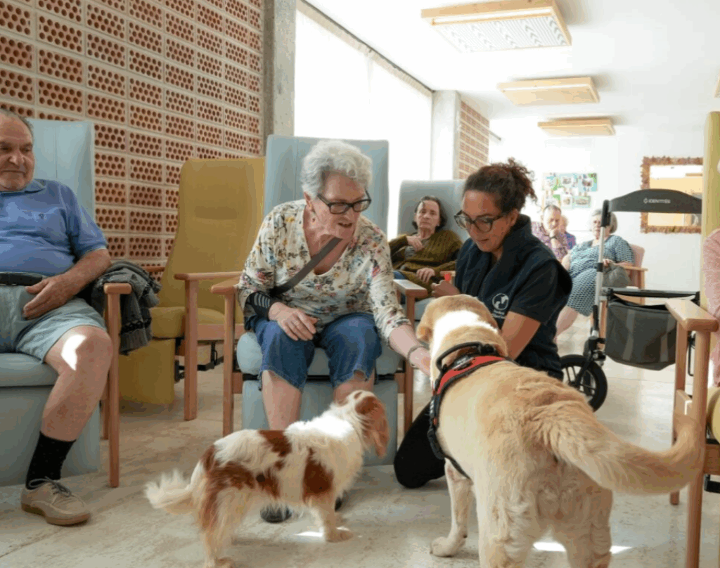 personas mayores tocando perritos en residencia