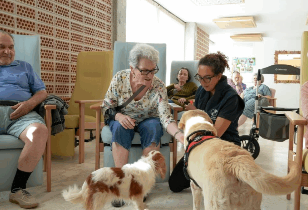 Abuelos tocando perros en residencia.